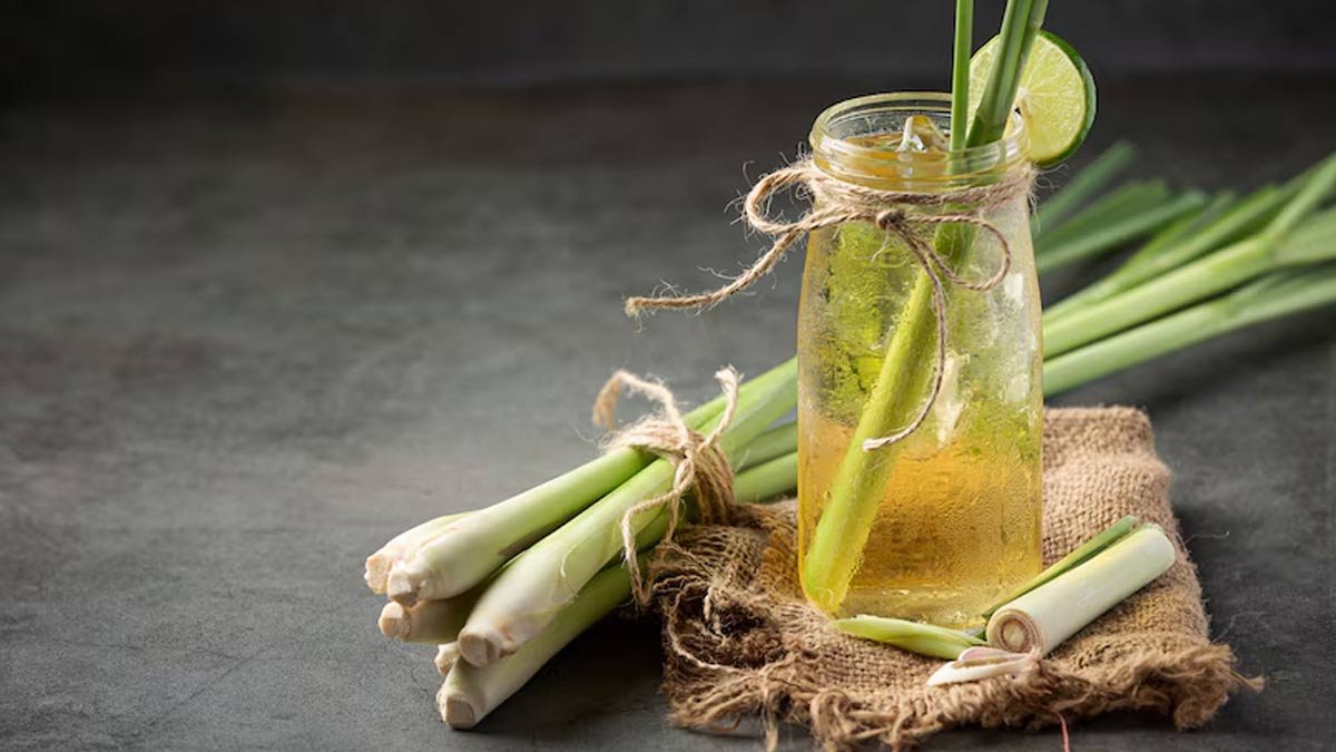 How Can Lemongrass Be Used To Repel Mosquitoes To Prevent Dengue, Malaria