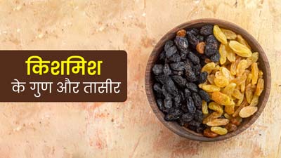 आयुर्वेद के अनुसार सेहत के लिए बेहद फायदेमंद होती है किशमिश, जानें इसकी तासीर और गुण