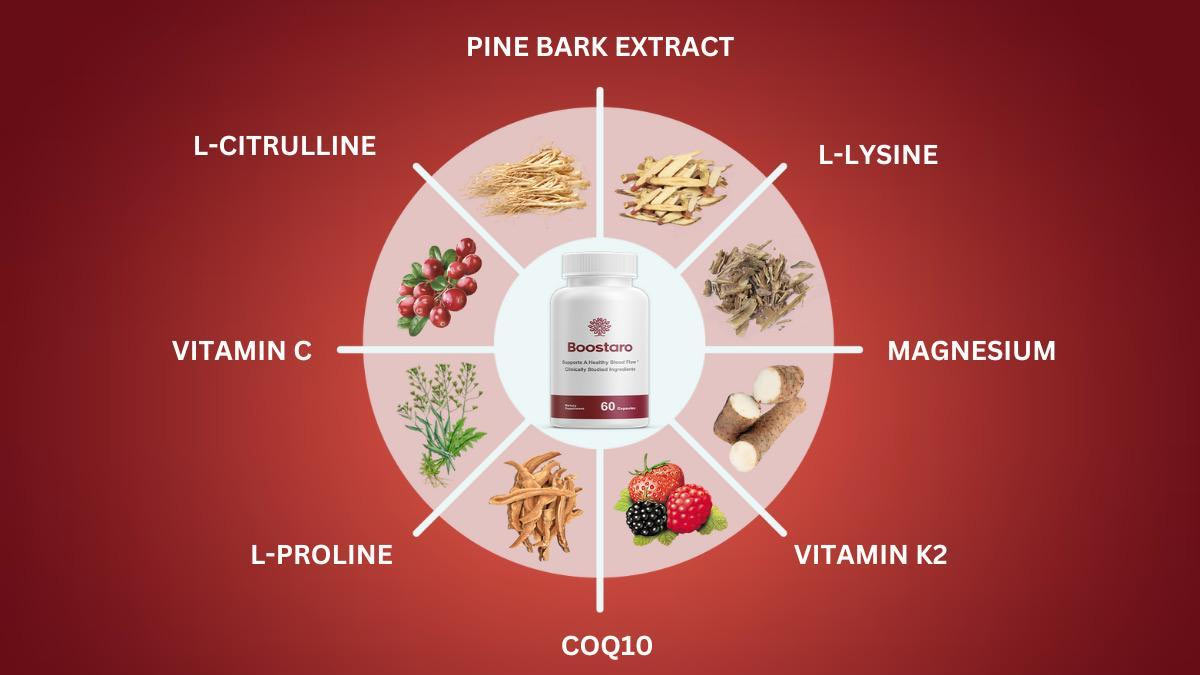 Overview Of The Boostaro Ingredients 
