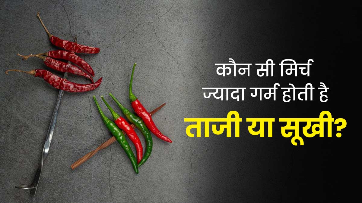ताजी या सूखी: कौन-सी मिर्च की तासीर होती है ज्यादा गर्म? आयुर्वेदाचार्य से जानें