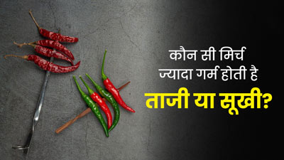 ताजी या सूखी: कौन-सी मिर्च की तासीर होती है ज्यादा गर्म? आयुर्वेदाचार्य से जानें