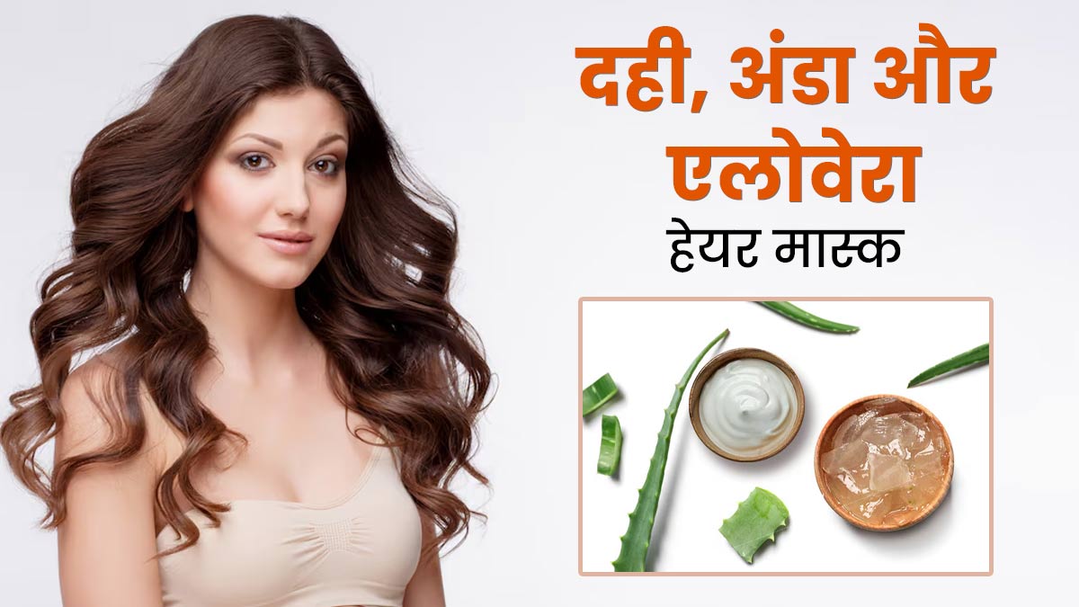 बालों को मुलायम और चमकदार बनाने के लिए लगाएं दही, अंडा और एलोवेरा हेयर मास्क, जानें तरीका