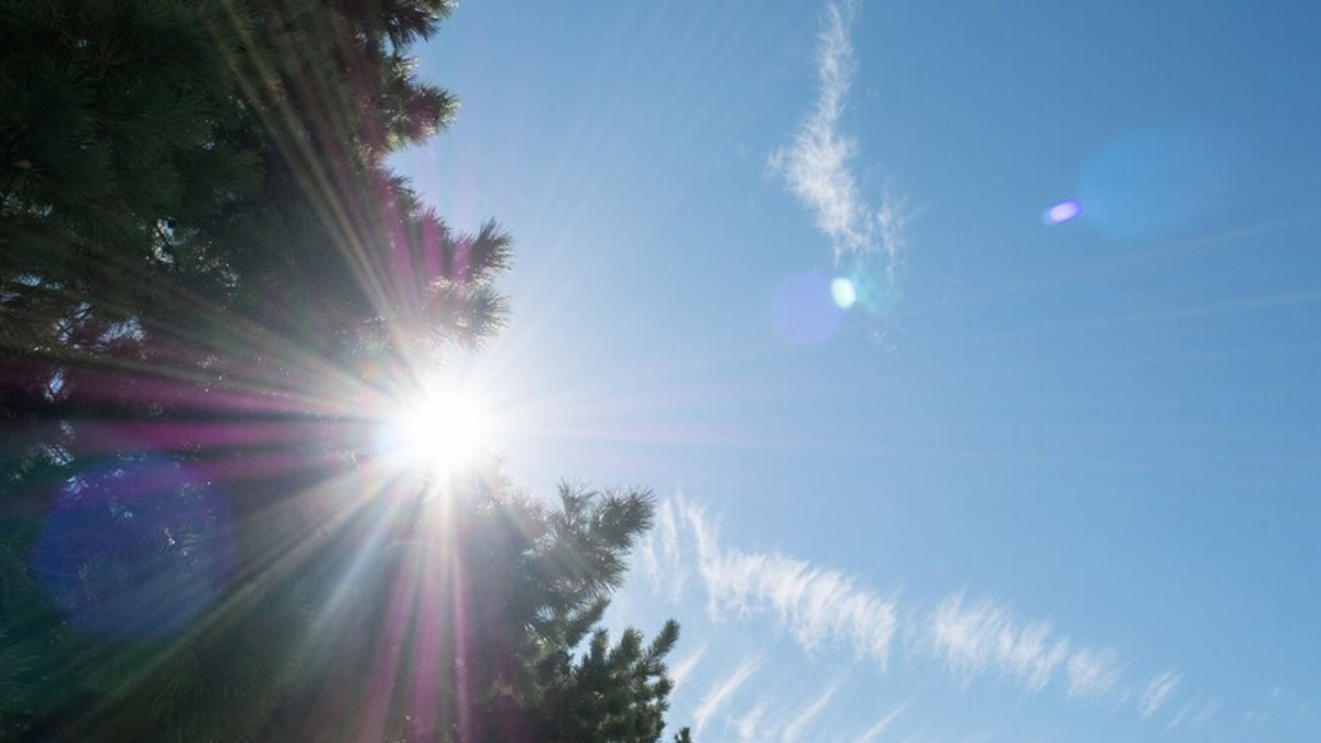 Broccoli Can Protect Your Eyes From Ultraviolet Rays Of The Sun: Here's How