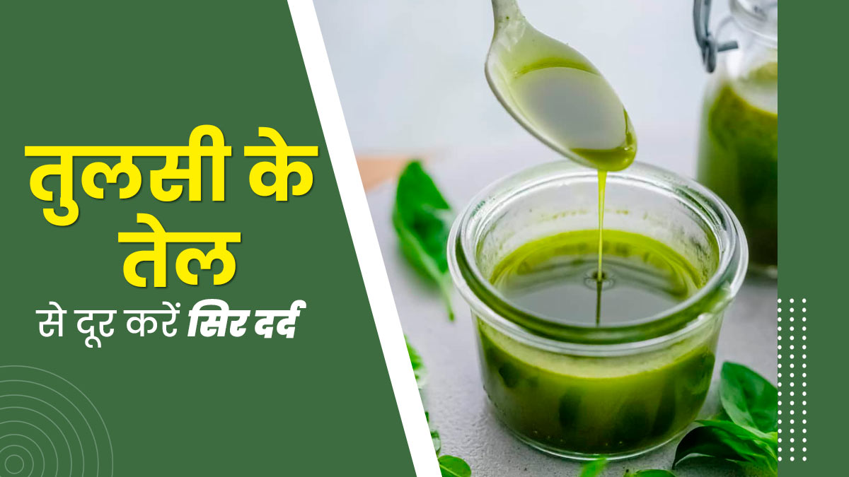 अचानक होने लगे स‍िर दर्द, तो इस्‍तेमाल करें तुलसी का तेल, मिलेगी राहत