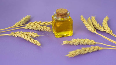 The Marvels of Wheat Germ Oil: Benefits and Tips for Skin and Hair