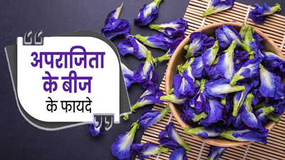 सेहत के लिए बेहद फायदेमंद होते हैं अपराजिता के बीज, एक्सपर्ट से जानें सेवन का तरीका