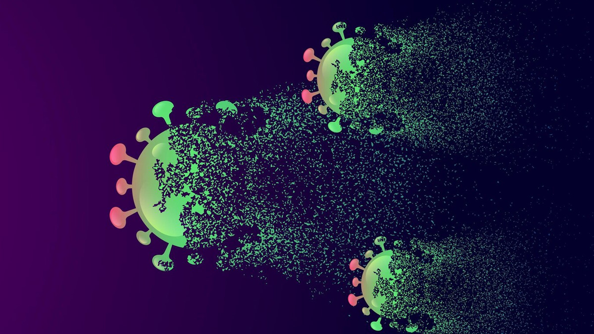 chandipura-virus-inside