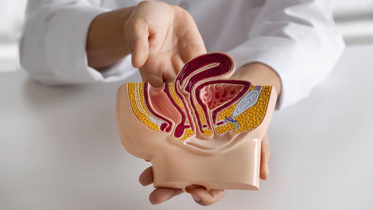 Kidney Cancer Symptoms