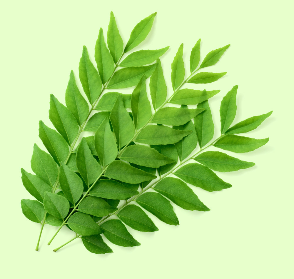 curry leaves