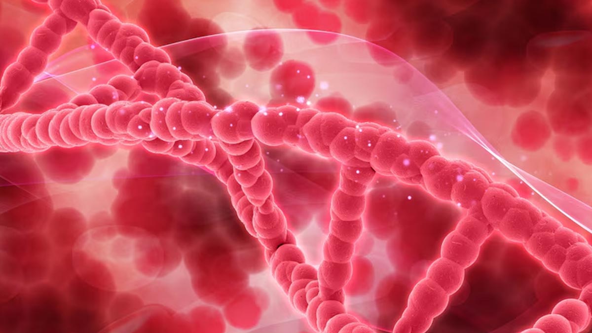 Understanding The Advancements In Paediatric Sickle Cell Disease: Treatment Options You Must Know About