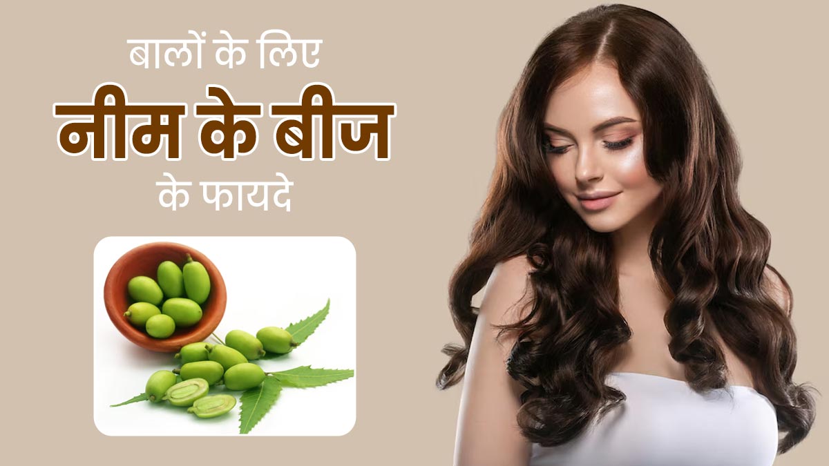 Neem Seeds: निंबोली खाने से दूर होंगी बालों से जुड़ी कई समस्याएं, इस तरह से करें सेवन
