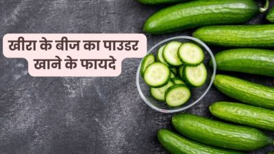 सेहत के लिए बहुत फायदेमंद होता है खीरे के बीज का पाउडर, जानें सेवन का तरीका