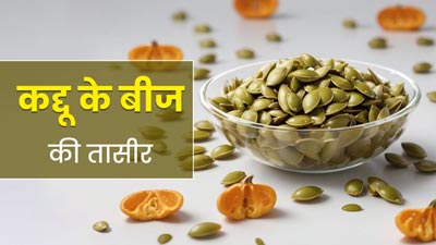 कद्दू के बीजों की तासीर कैसी होती है? जानें किसे करना चाहिए इसका सेवन और किसे नहीं