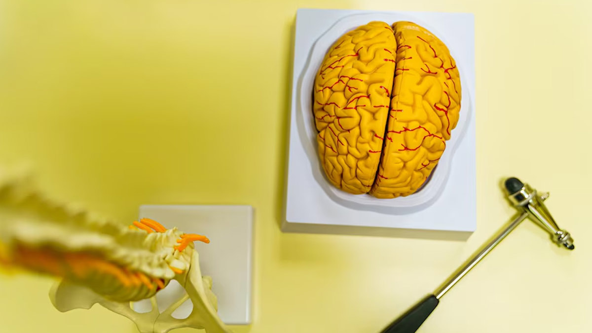 Early Diagnosis Of Multiple Sclerosis Is Key: What Are Its First Symptoms?