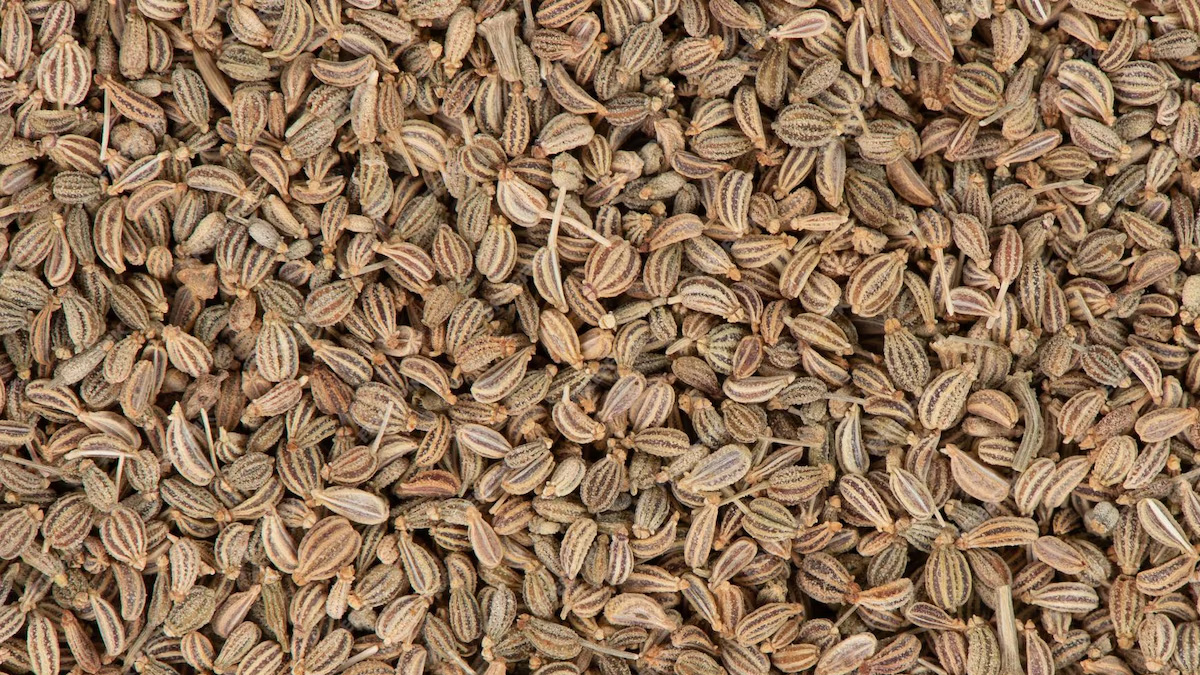 ajwain