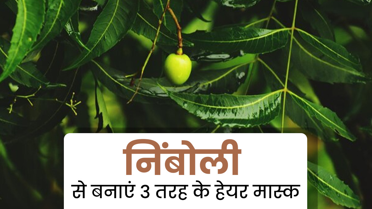 निंबोली के बनाएं बालों के लिए 2 तरह के हेयर मास्क, जानें तरीका और फायदे