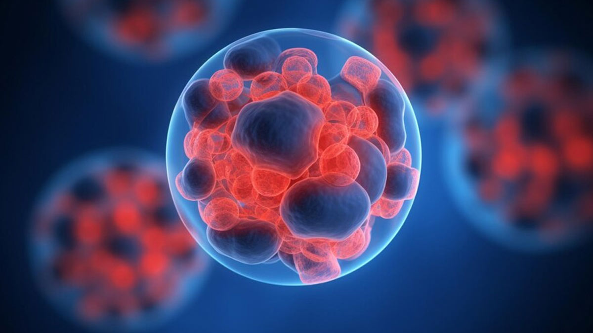 Govt Says 4.71 Cr Women Screened for Cervical Cancer, But HPV Affects Men Too: What You Need To Know