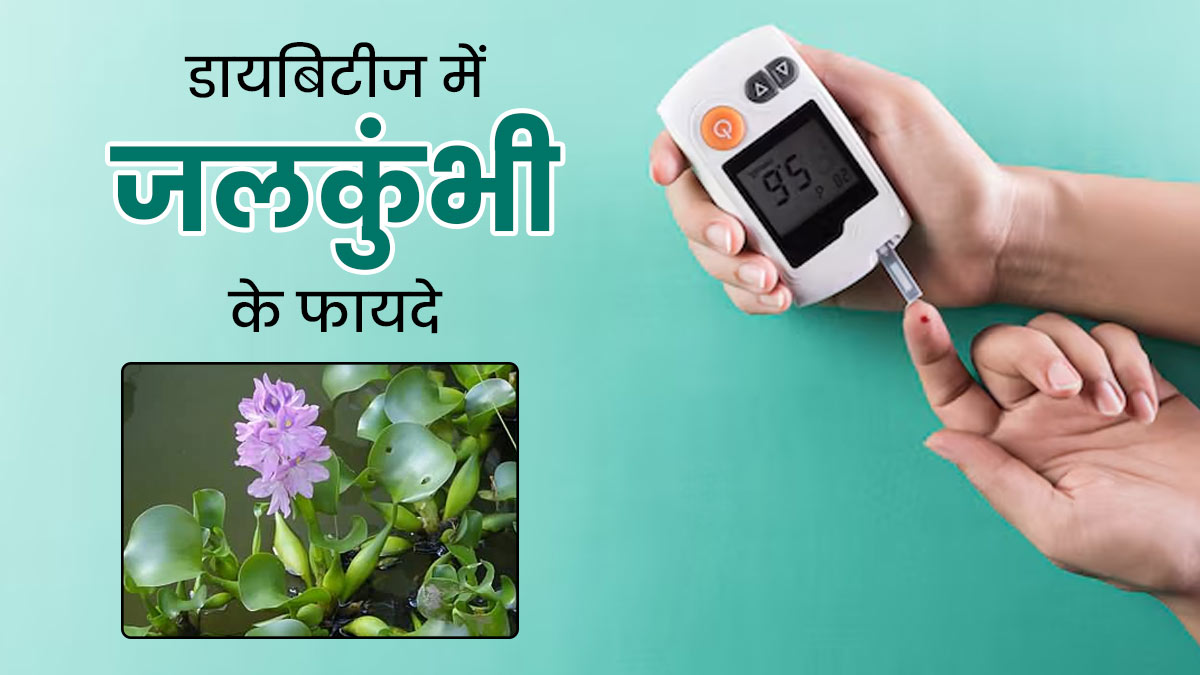 डायबिटीज में रामबाण है जलकुंभी (वॉटरक्रेस), रोजाना सेवन करने से कम होगा शुगर
