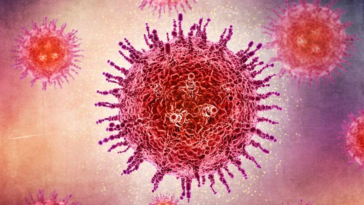 Oropouche Virus Claims 2 Lives in Brazil: Symptoms, Prognosis, Treatment, And Its Prevention