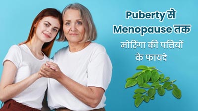 सेहत के लिए बेहद फायदेमंद होते हैं मोरिंगा के पत्ते, यौवन से लेकर मेनोपॉज तक वाली महिलाएं कर सकती हैं सेवन