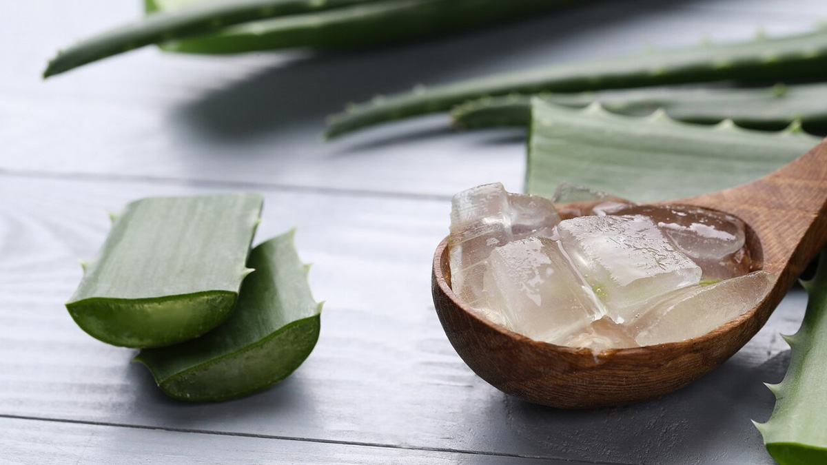 aloevera