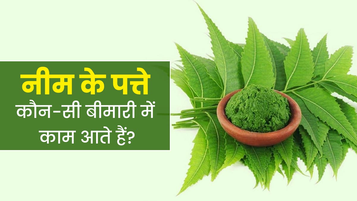 Neem Leaves Benefits: नीम की पत्तियां कौन-सी बीमारियों में काम आती हैं? आयुर्वेदाचार्य से जानें