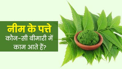 Neem Leaves Benefits: नीम की पत्तियां कौन-सी बीमारियों में काम आती हैं? आयुर्वेदाचार्य से जानें