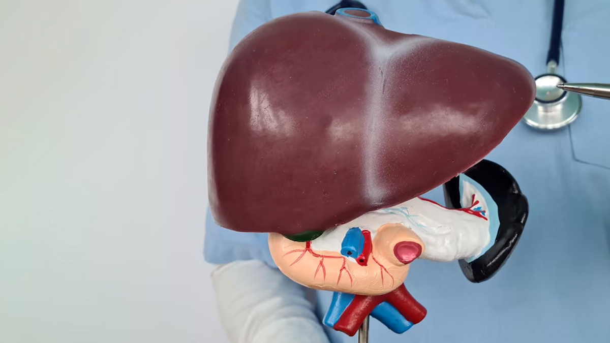 How Alcohol Damage Liver in Hindi