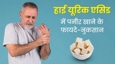 यूरिक एसिड बढ़ने पर पनीर खाने से होते हैं ये फायदे-नुकसान, जानें कितनी मात्रा में करें सेवन