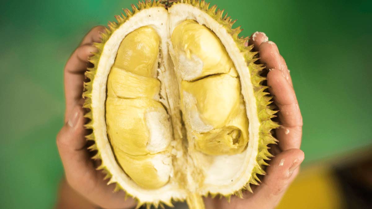 durian-fruit-ins