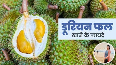 कटहल की तरह दिखता है डूरियन फल, डाइटिशियन से जानें इसे खाने के 5 फायदे