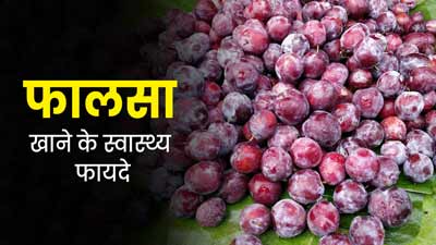 डाइट में शामिल करें पोषक तत्वों से भरपूर फालसा, सेहत को मिलेंगे कई फायदे