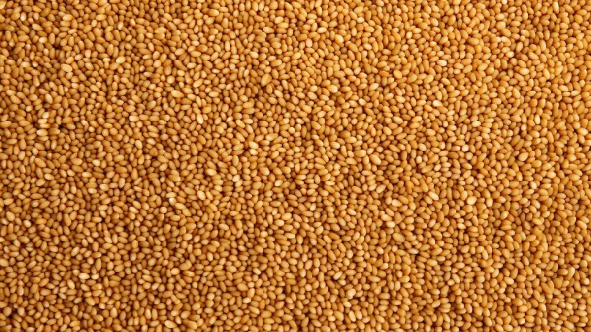 Kutki Millet Benefits in High Cholesterol