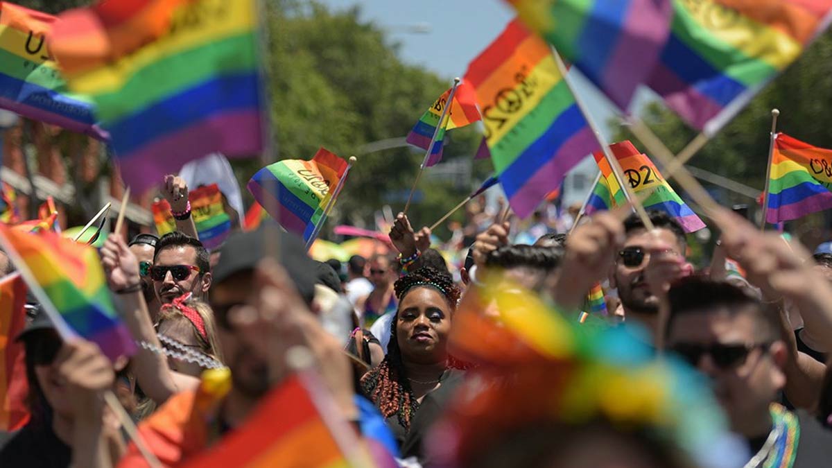 Pride Month 2024 Mental Health Issues Lgbtq Community Members Face In