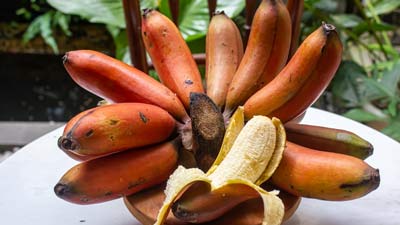 Weight Loss Secret: Expert Explains Health Benefits Of Red Bananas For Weight Loss