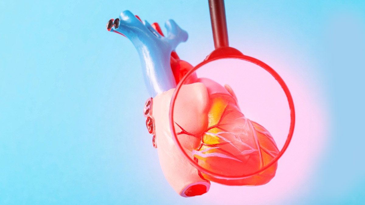 Inflammation And Cholesterol: Expert Explains The Link Between The Two And Tips For Management