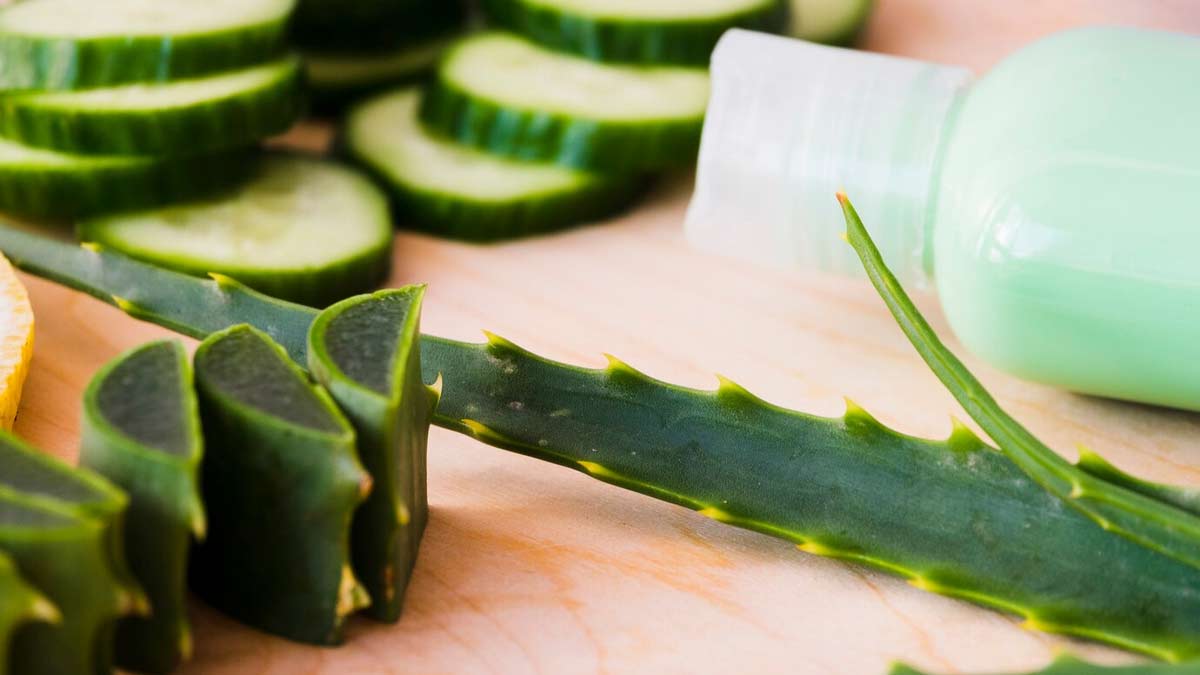 aloevera