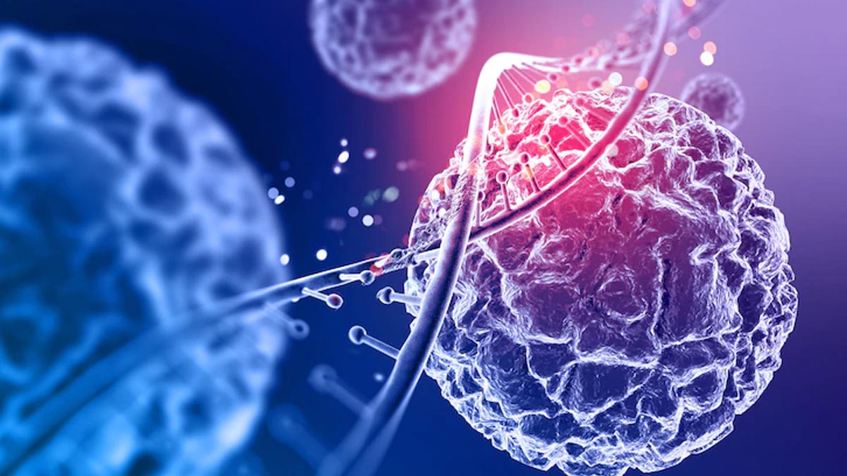 Conversation With Cancer Survivors: Here's How We Can prevent Cancer