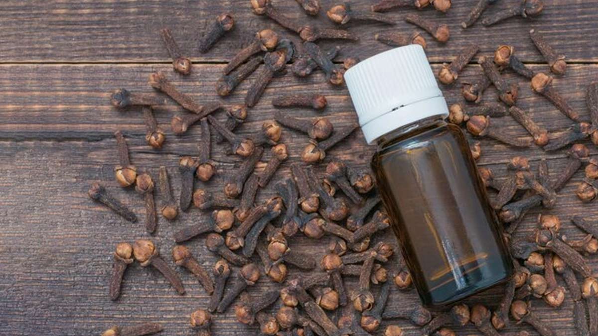 clove oil for thigh pain
