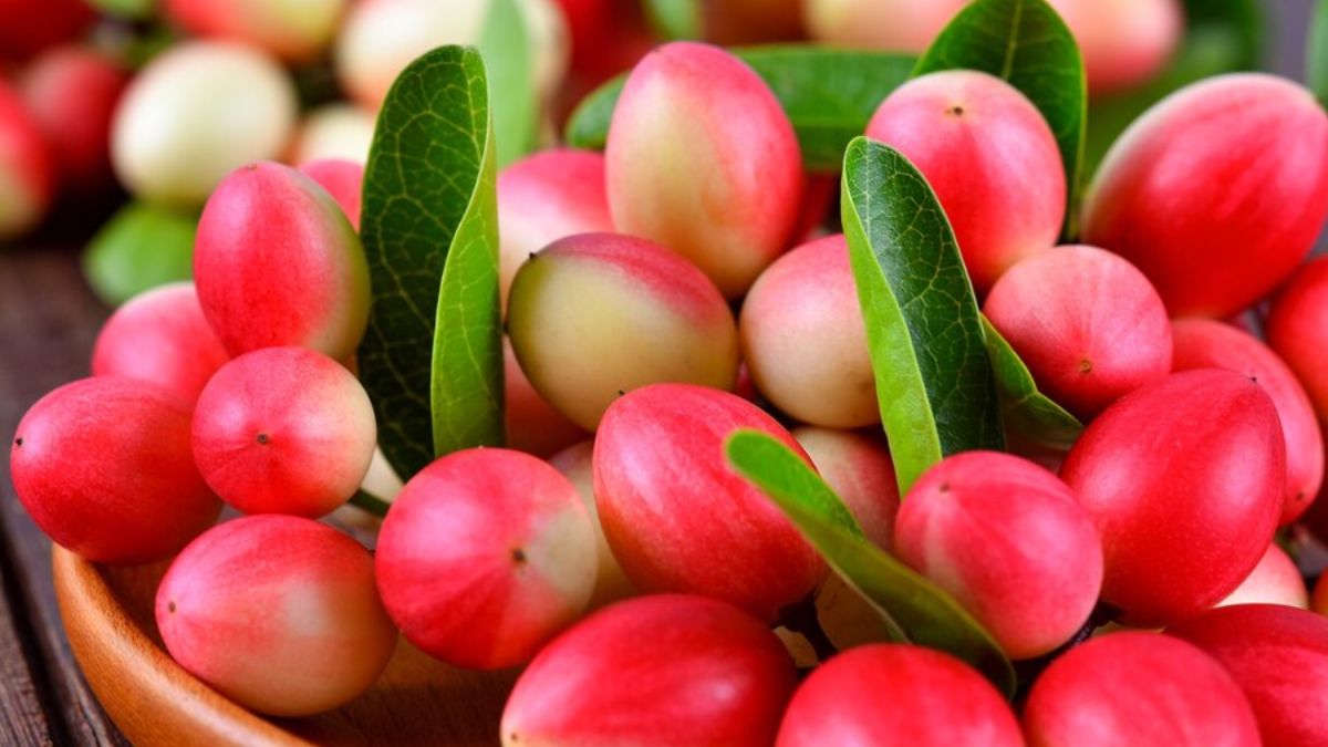 Health Benefits of Karonda: Here's How You Can Include It In Your Diet