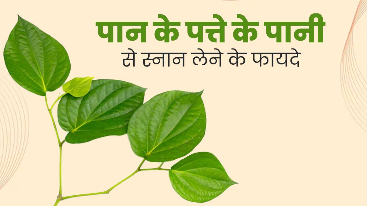 गर्मियों में पान के पत्तों के पानी से करें स्नान, बैक्टीरियल और फंगल इंफेक्शन से होगा बचाव