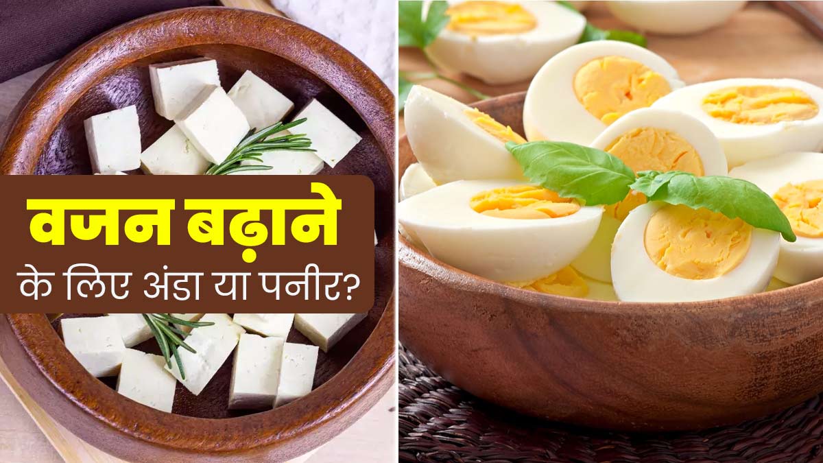 अंडा या पनीर: वजन बढ़ाने के लिए क्या होता है ज्यादा फायदेमंद? एक्सपर्ट से जानें