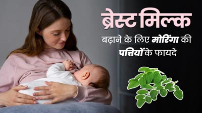 ब्रेस्ट मिल्क बढ़ाने में फायदेमंद होती हैं मोरिंगा की पत्तियां, जानें खाने का तरीका 