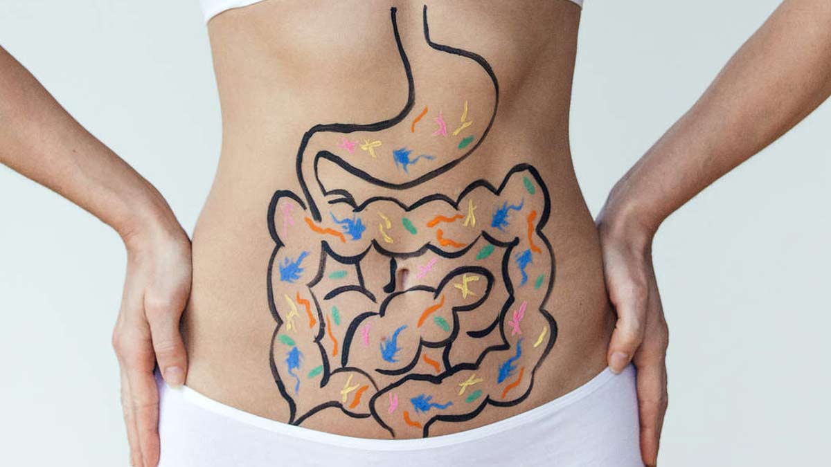 digestion