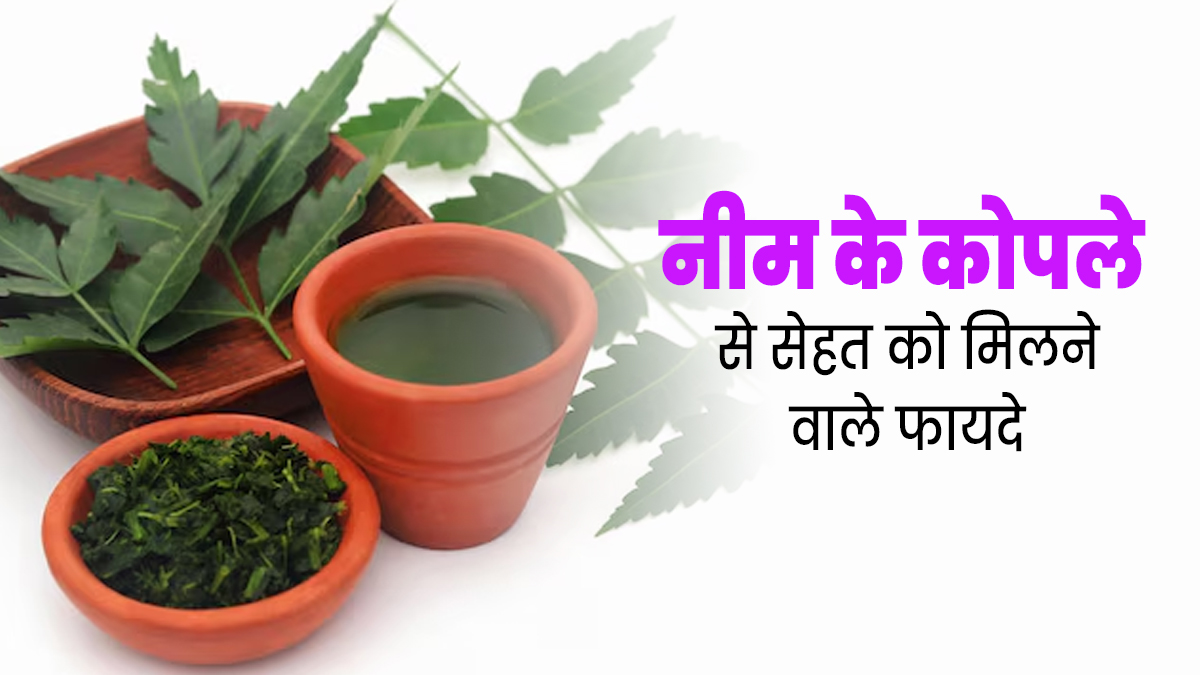 सेहत का खजाना है नीम के कोपले, आयुर्वेदाचार्य से जानें इसके 5 फायदे