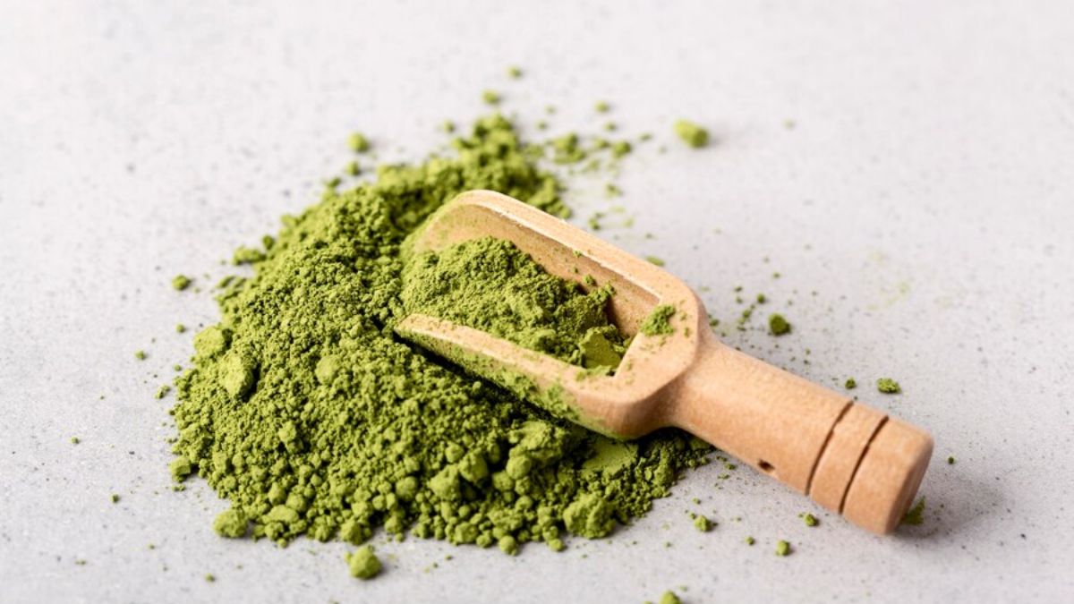 Moringa Powder Benefits in High Uric Acid