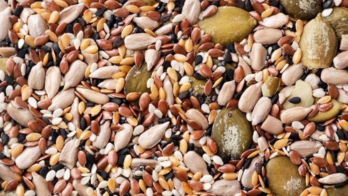 seeds-for-bloating-ins