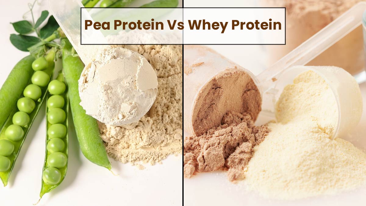 Pea Protein Vs Whey Protein Expert Explains Which Is Better And Why