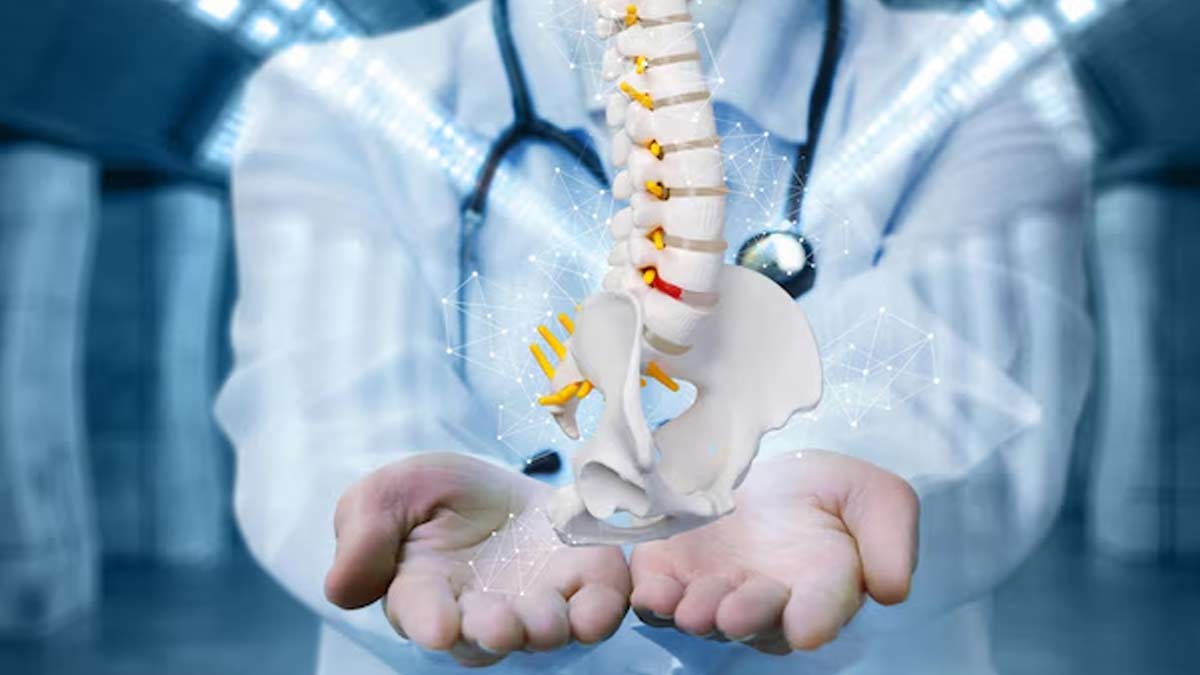 spine-ins