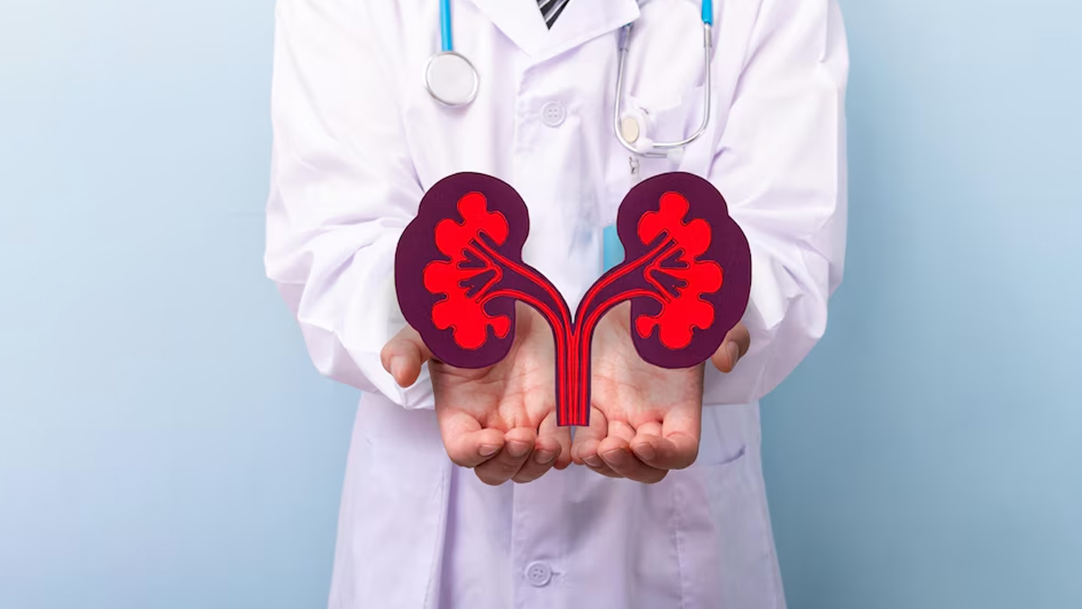kidney